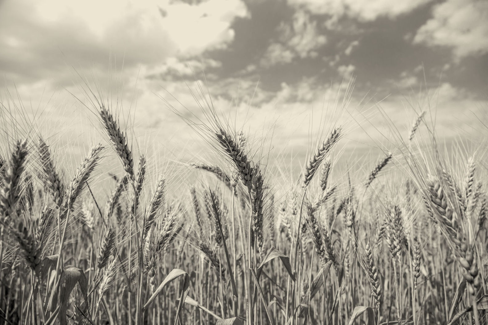 Banking as a Service